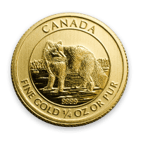 Front - Gold arctic Fox