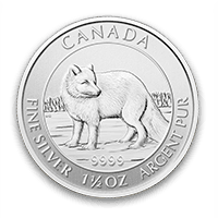 Front - Silver Artic Fox